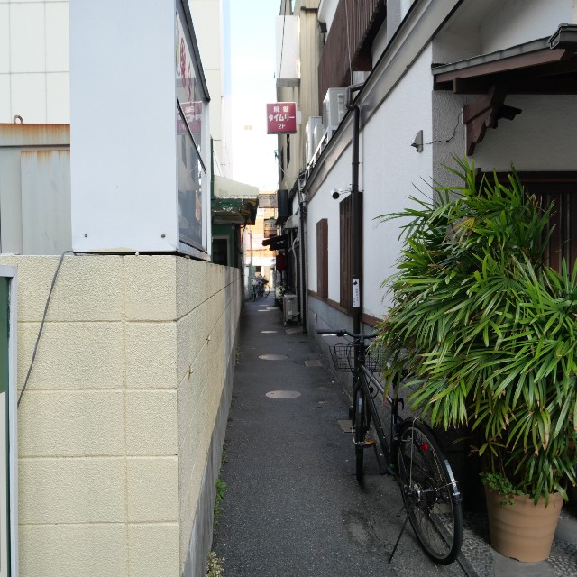 f:id:modokimaru:20220618101045j:image f:id:modokimaru:20220618101045j:image