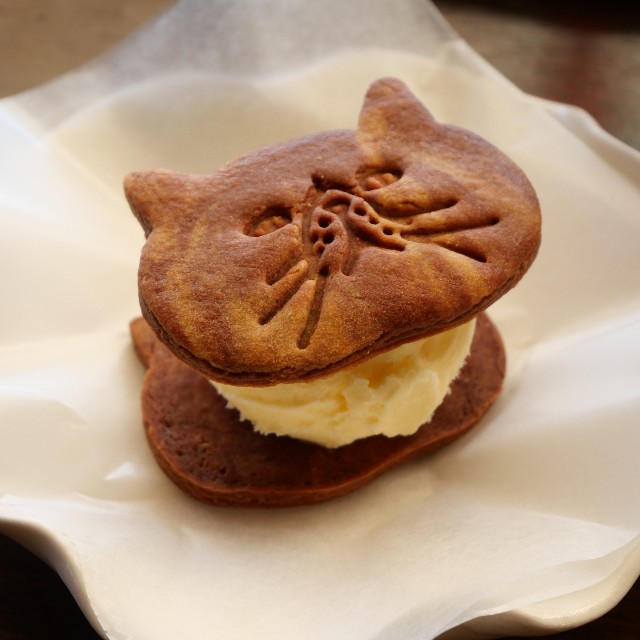 f:id:modokimaru:20221025065549j:image