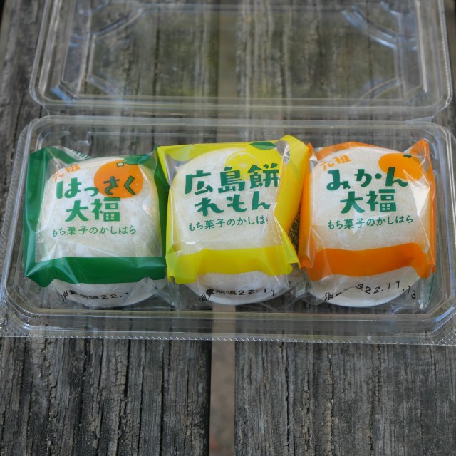 f:id:modokimaru:20221112112213j:image