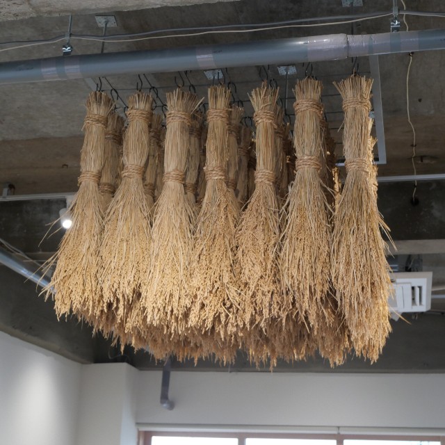 f:id:modokimaru:20230107172620j:image f:id:modokimaru:20230107172620j:image