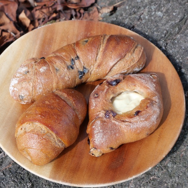 f:id:modokimaru:20230124160514j:image