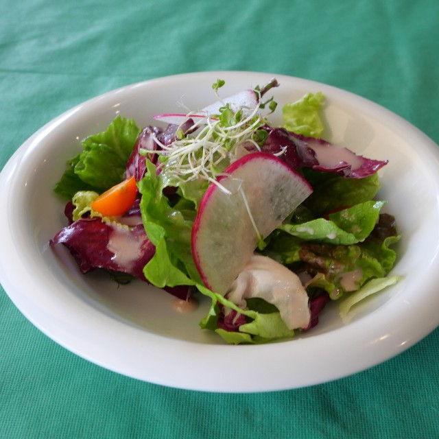 f:id:modokimaru:20230225110342j:image