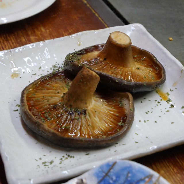 f:id:modokimaru:20230916101426j:image