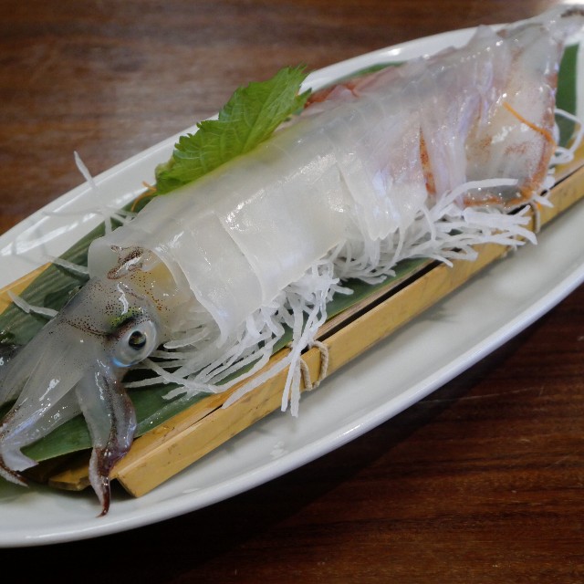 f:id:modokimaru:20240318142231j:image