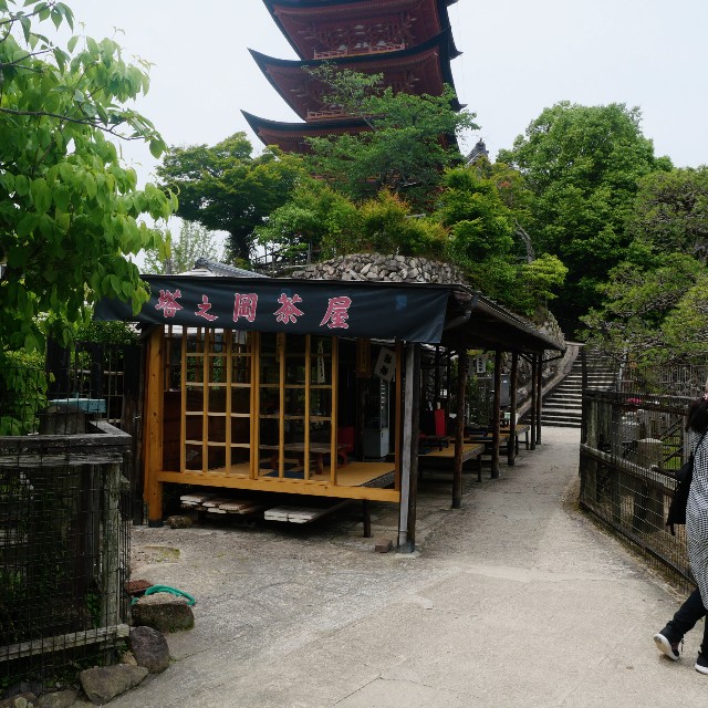 f:id:modokimaru:20240709042429j:image