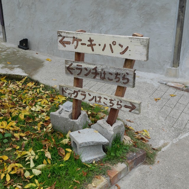 f:id:modokimaru:20241116134545j:image f:id:modokimaru:20241116134545j:image