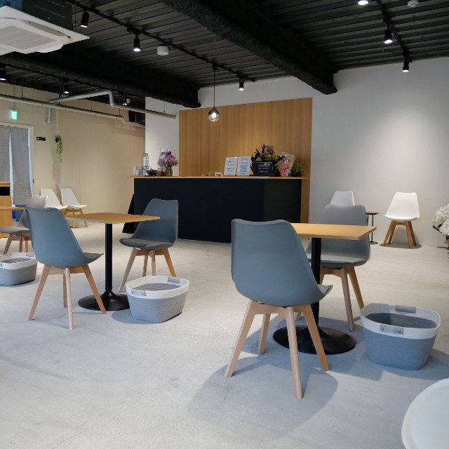 f:id:modokimaru:20250128171058j:image