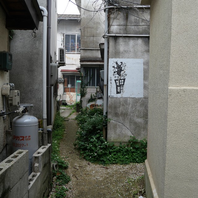 f:id:modokimaru:20250610144019j:image