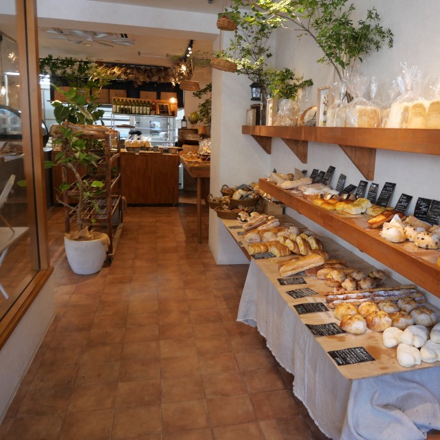 f:id:modokimaru:20250801144846j:image