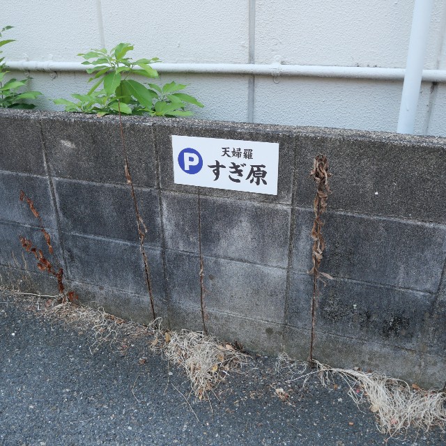 f:id:modokimaru:20250801145240j:image