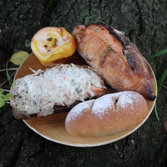 f:id:modokimaru:20250915062829j:image