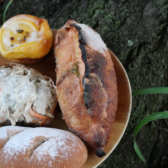 f:id:modokimaru:20250915062944j:image