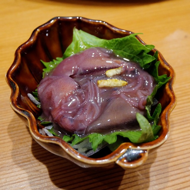 f:id:modokimaru:20260211125411j:image