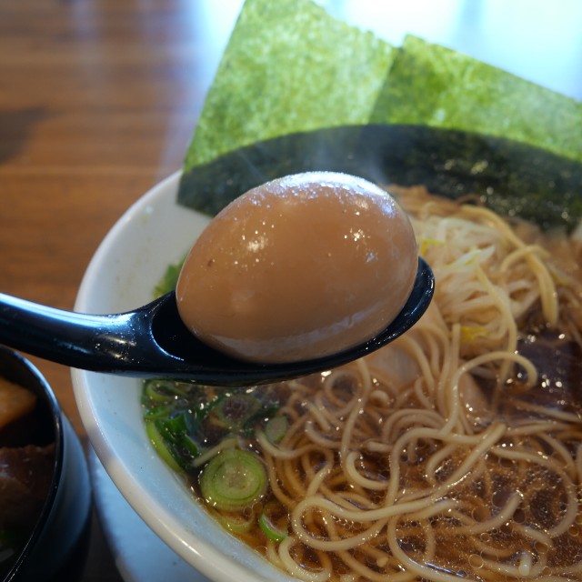 f:id:modokimaru:20260222093018j:image f:id:modokimaru:20260222093018j:image