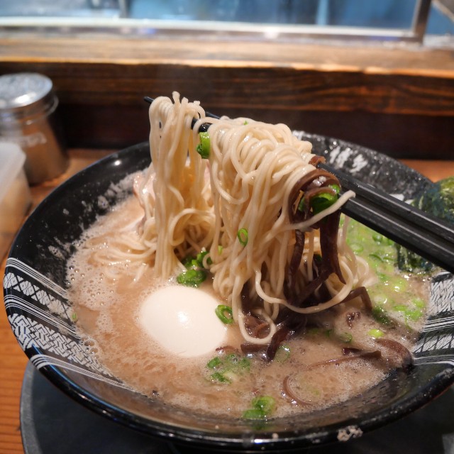 f:id:modokimaru:20260225155601j:image f:id:modokimaru:20260225155601j:image