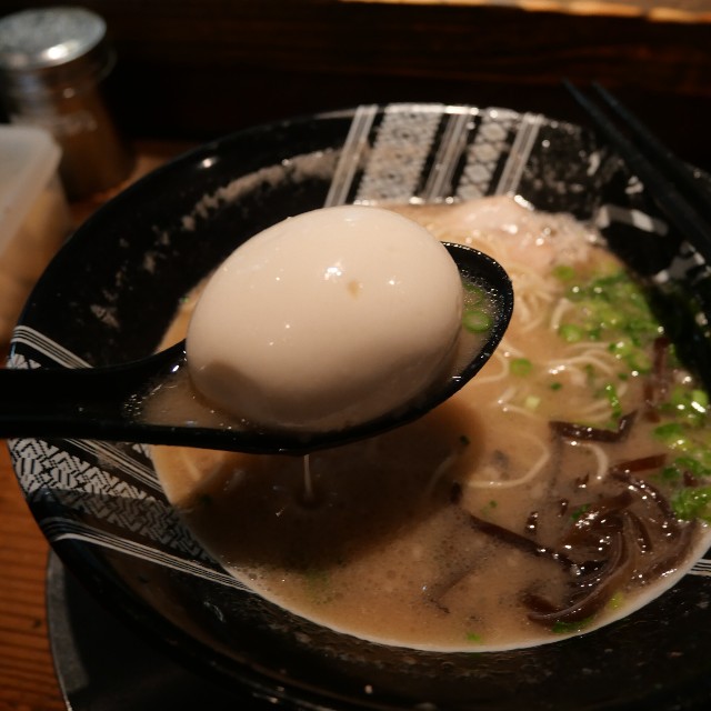 f:id:modokimaru:20260225155613j:image f:id:modokimaru:20260225155613j:image