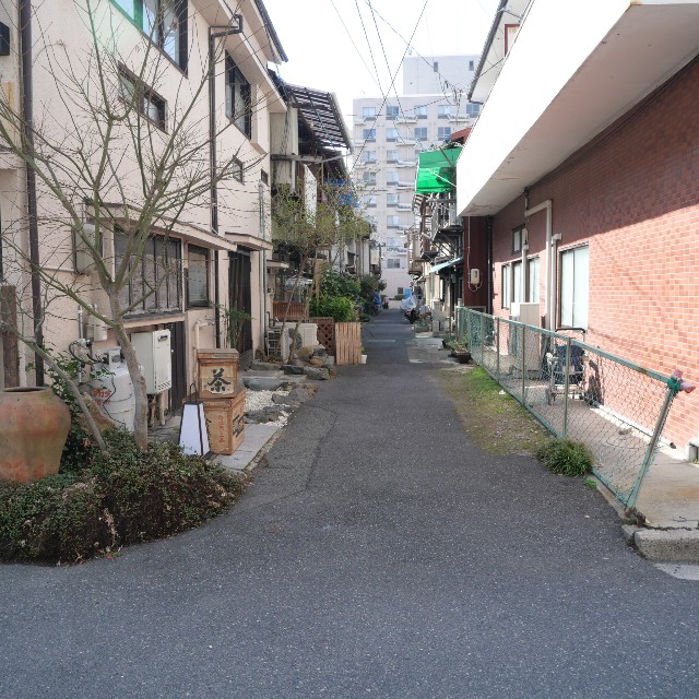 f:id:modokimaru:20260308030142j:image