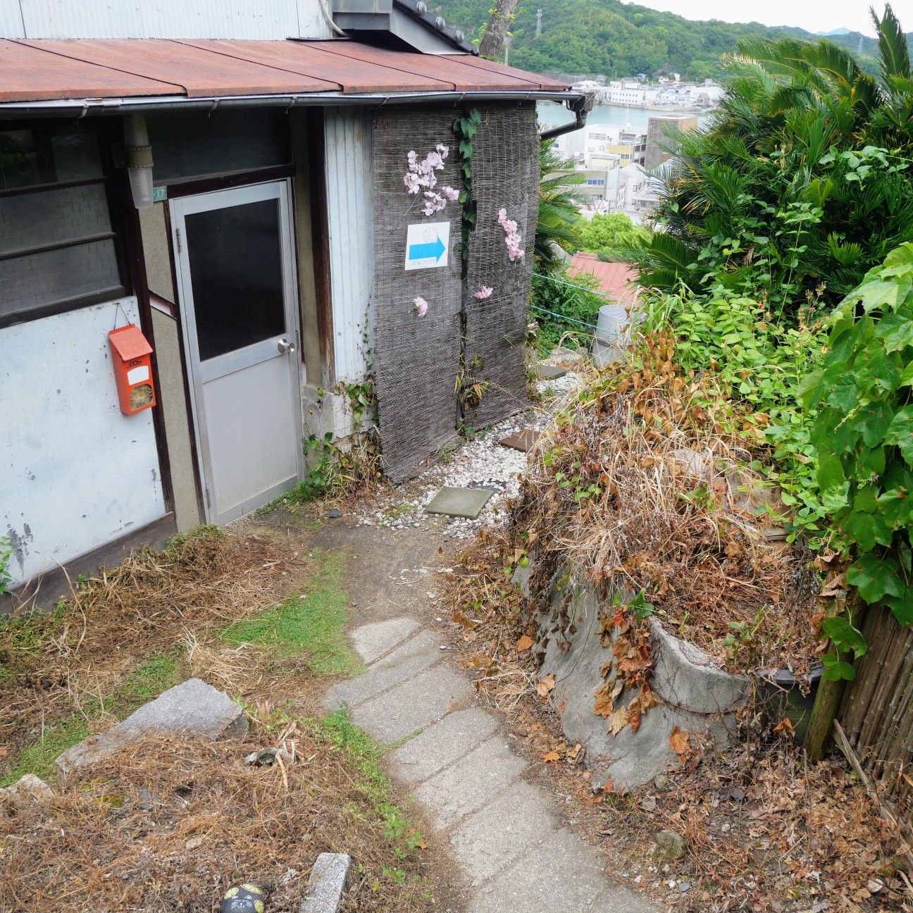 f:id:modokimaru:20260523144216j:image