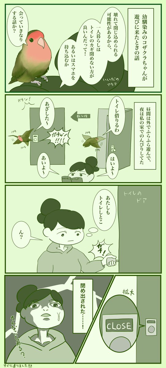 f:id:modykkn005:20191130085502j:plain f:id:modykkn005:20191130085502j:plain