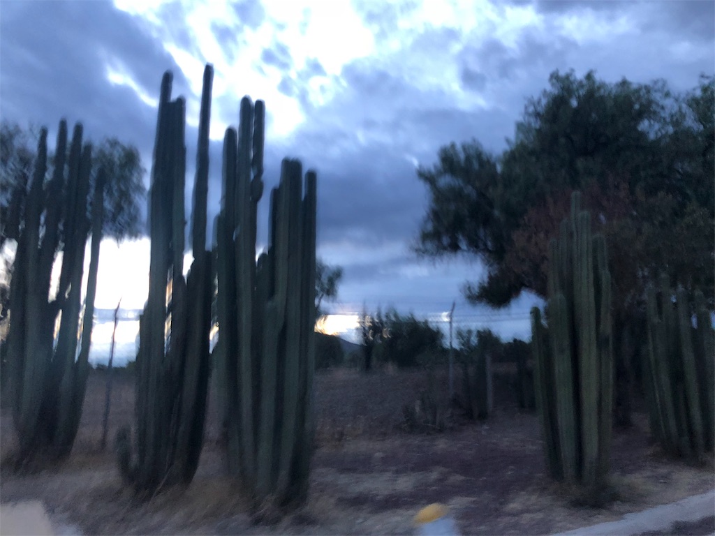 f:id:moechris:20190604122233j:image f:id:moechris:20190604122233j:image