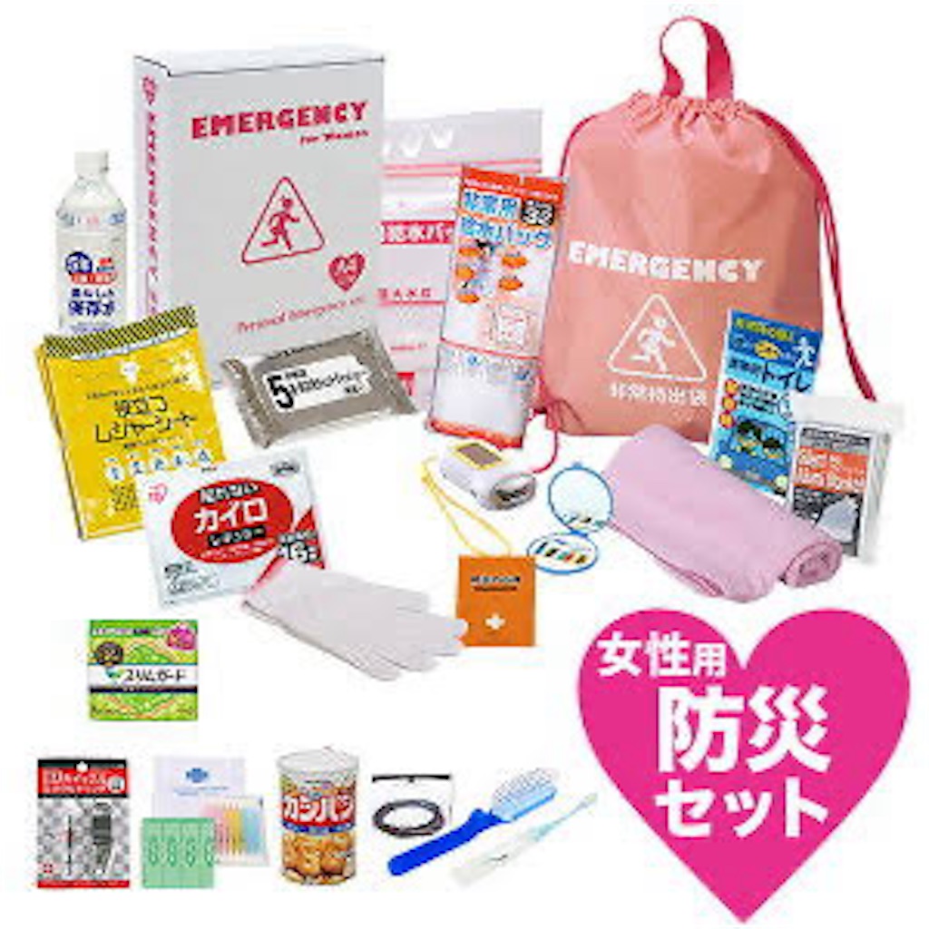 f:id:moegistyle:20240810220119j:image