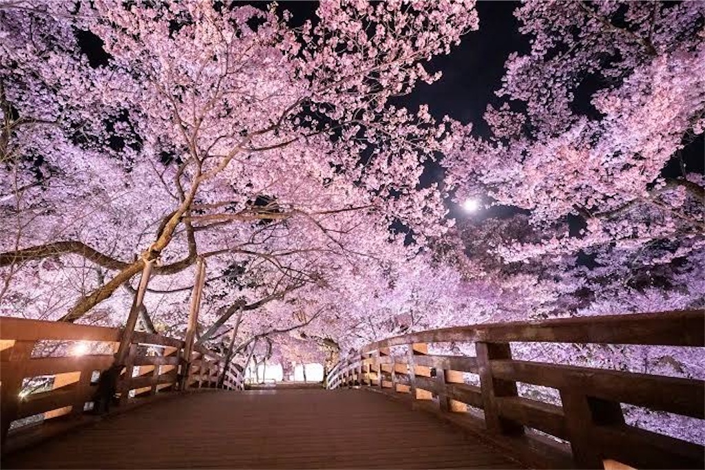 f:id:moegistyle:20250324204541j:image