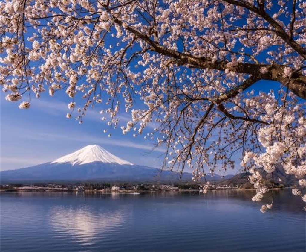 f:id:moegistyle:20250324204550j:image