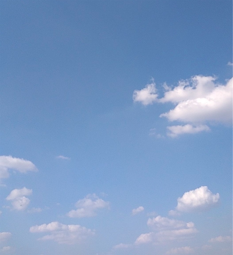 f:id:moegistyle:20250806231042j:image