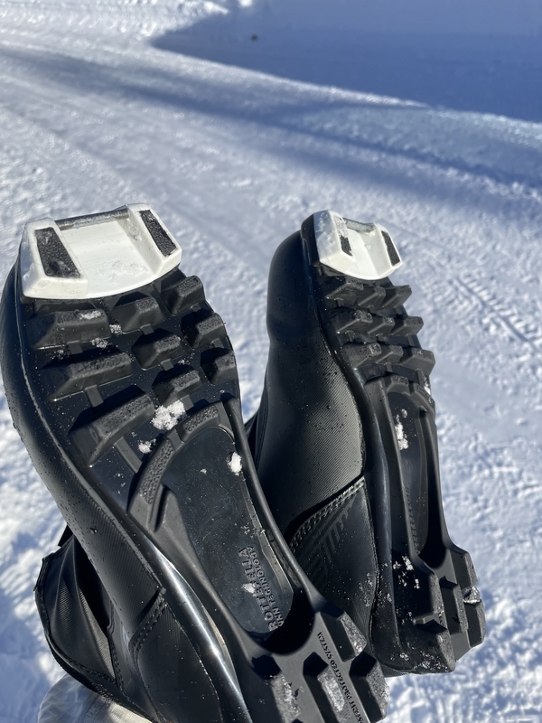 クロスカントリースキーの道具を買った話 - しろくま野遊びラボ