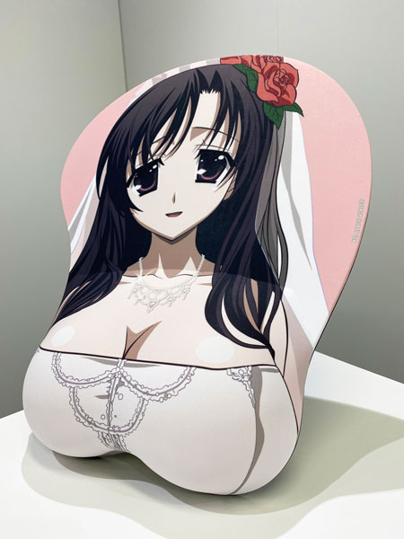 f:id:moetaku:20210129205211j:plain