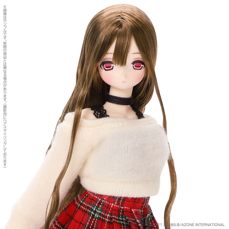 f:id:moetaku:20211105194916j:plain