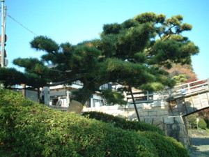 錦帯橋