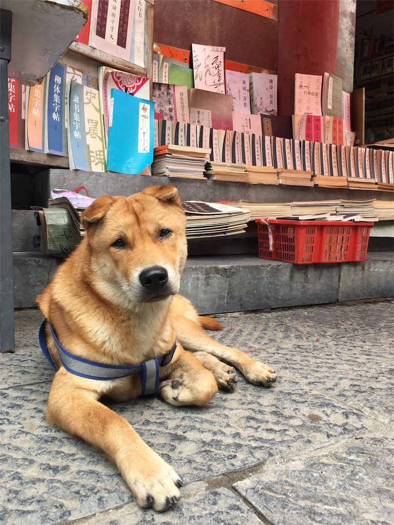 f:id:moeyo-fufu:20180826224926j:image