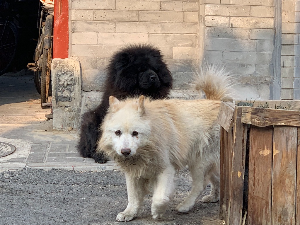 f:id:moeyo-fufu:20190106161135j:image