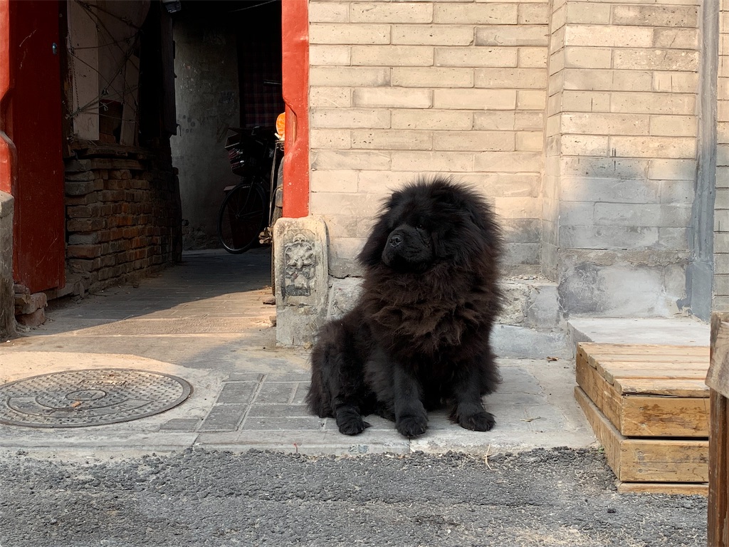 f:id:moeyo-fufu:20190106161143j:image