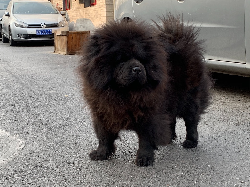 f:id:moeyo-fufu:20190106161149j:image