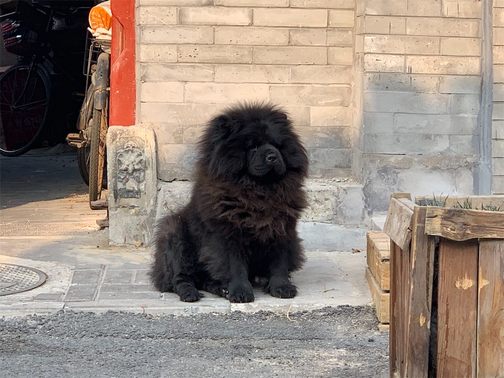 f:id:moeyo-fufu:20190106161207j:image