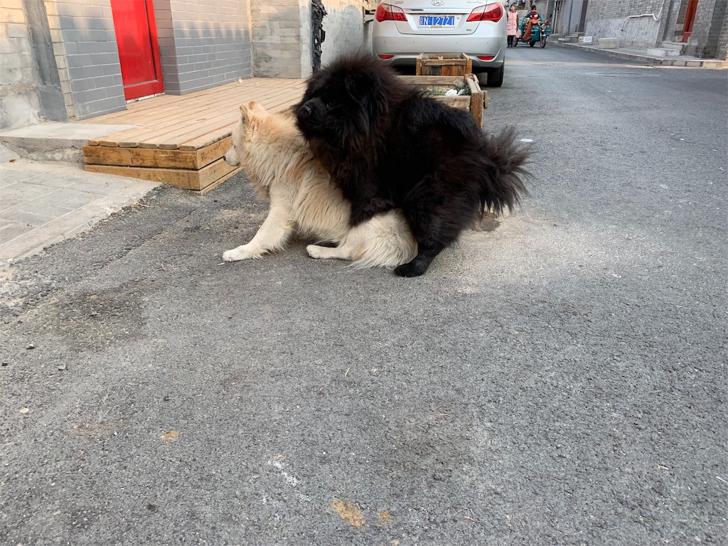 f:id:moeyo-fufu:20190106161210j:image