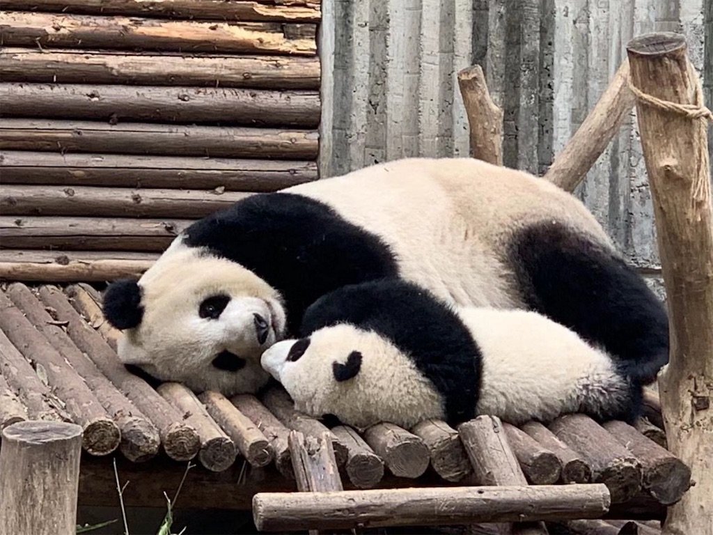 f:id:moeyo-fufu:20190224171807j:image