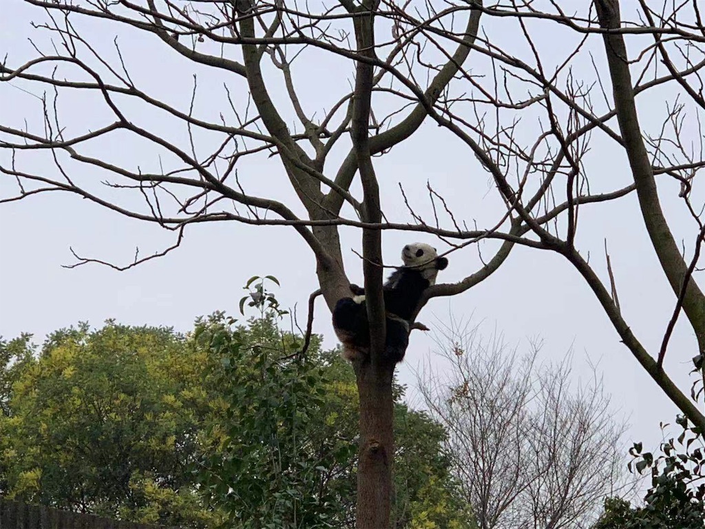 f:id:moeyo-fufu:20190224171944j:image