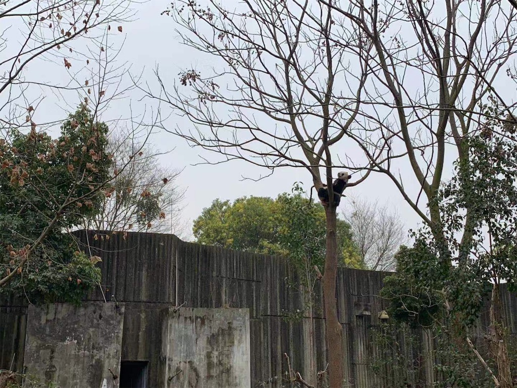 f:id:moeyo-fufu:20190224171952j:image