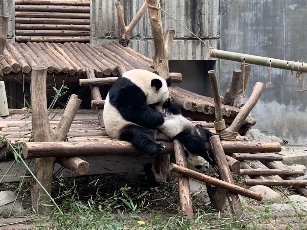 f:id:moeyo-fufu:20190224172343j:image