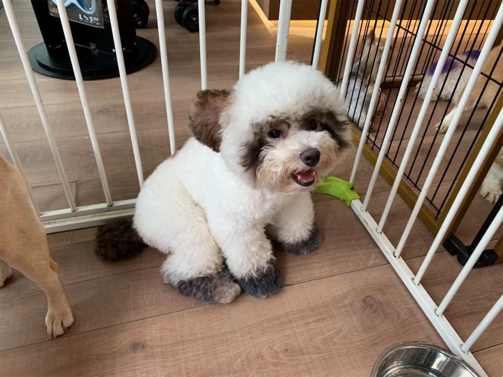 f:id:moeyo-fufu:20190804001031j:image f:id:moeyo-fufu:20190804001031j:image