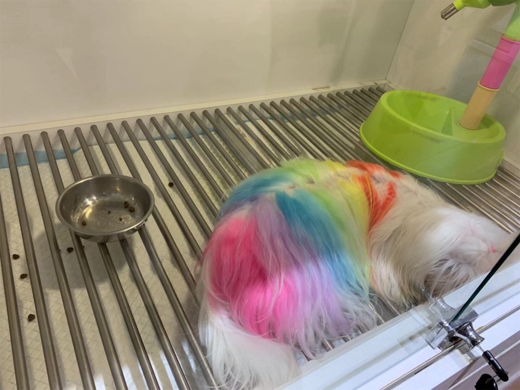 f:id:moeyo-fufu:20190804001125j:image f:id:moeyo-fufu:20190804001125j:image