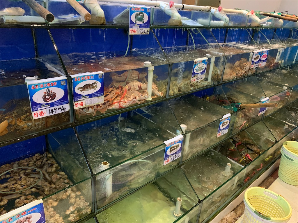 f:id:moeyo-fufu:20200725234131j:image f:id:moeyo-fufu:20200725234131j:image