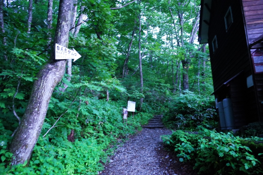 f:id:mof_mmm:20180817093959j:plain