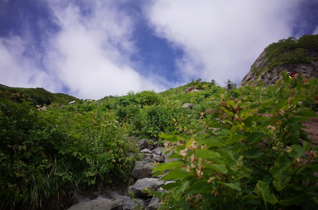 f:id:mof_mmm:20180817100130j:plain