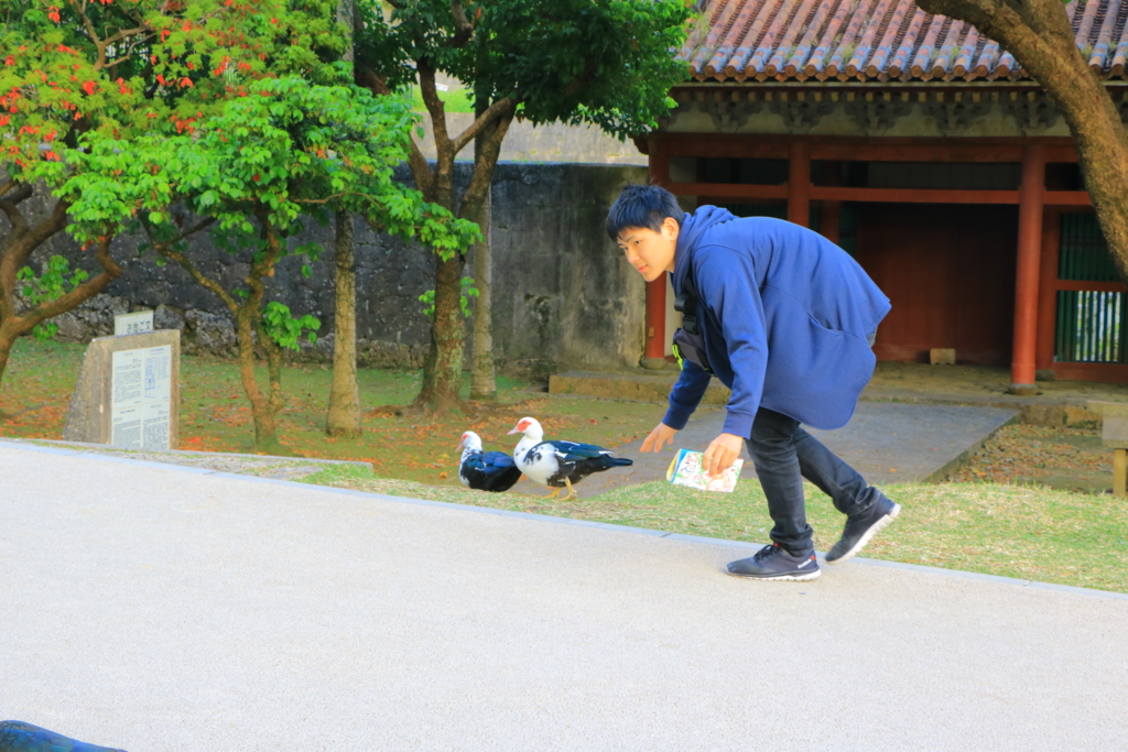 f:id:moffril:20170225230203j:plain f:id:moffril:20170225230203j:plain