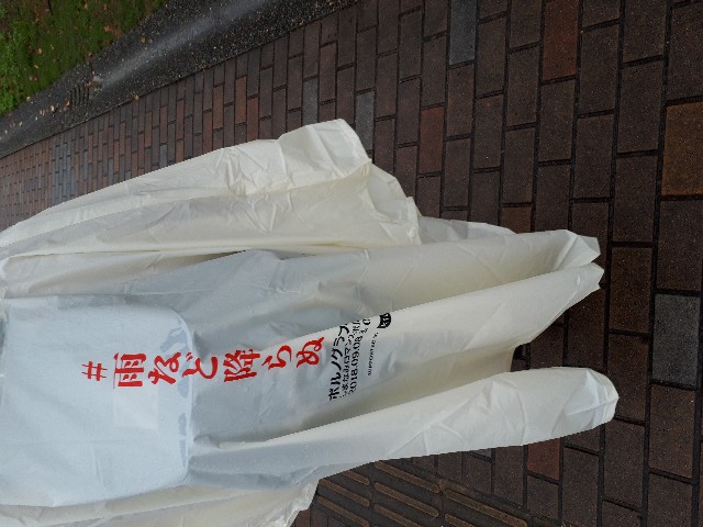 f:id:mofgashi:20180930210132j:image