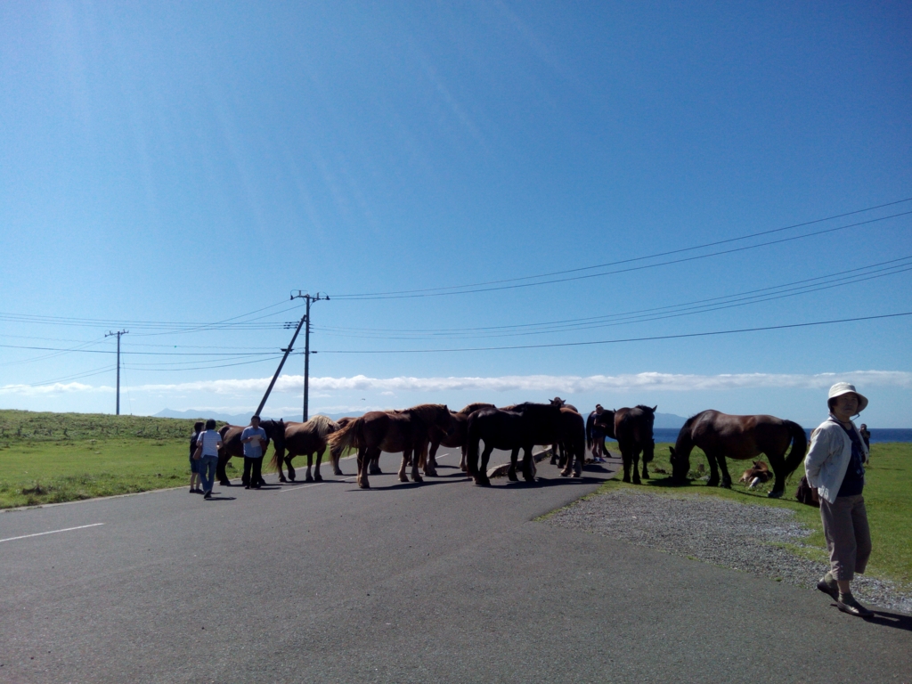 f:id:mofhandmade:20160901182152j:plain